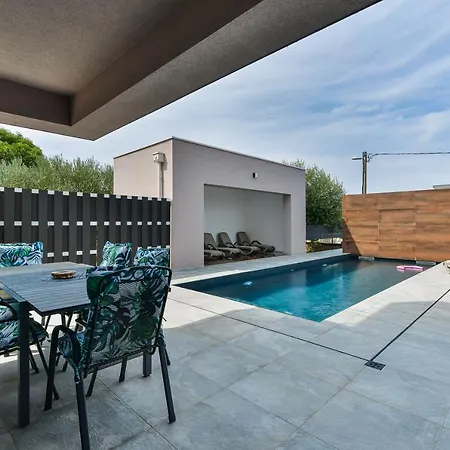 Jean-marie * זאטון