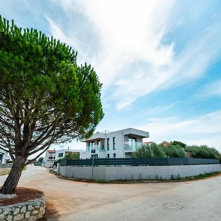 Jean-marie זאטון